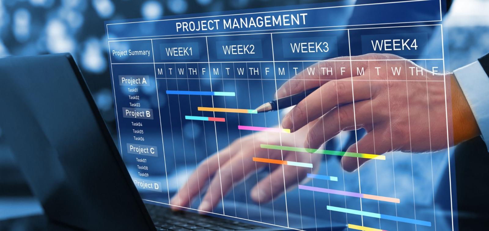 IT Project Management